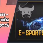 E-sports S666