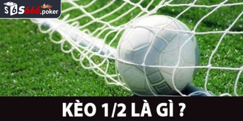 Định nghĩa kèo 1/2 S666
