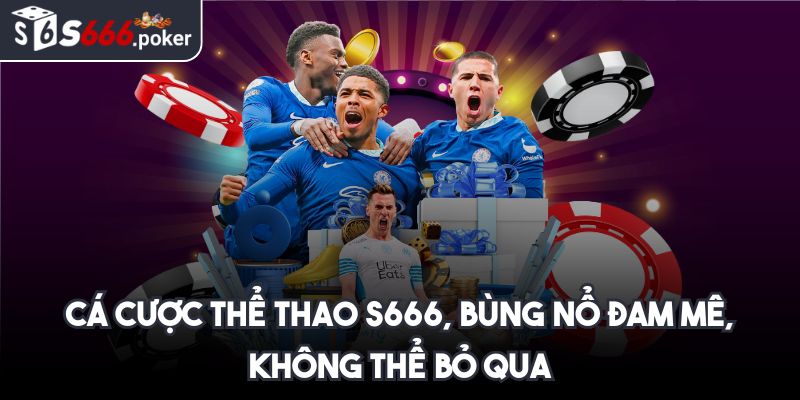 Cá cược thể thao S666, bùng nổ đam mê, không thể bỏ qua
